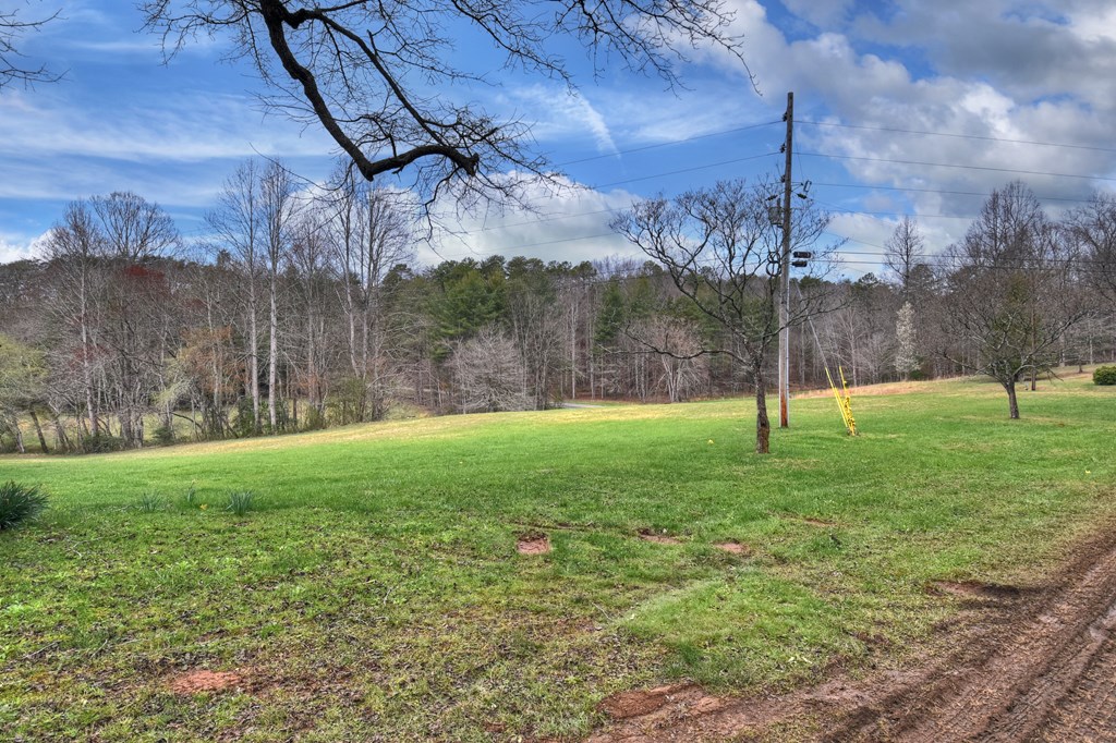 428821 Mineral Bluff Residential