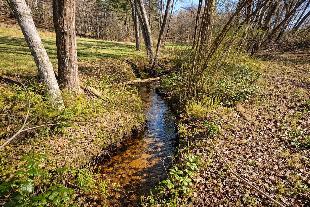 428821 Mineral Bluff Residential