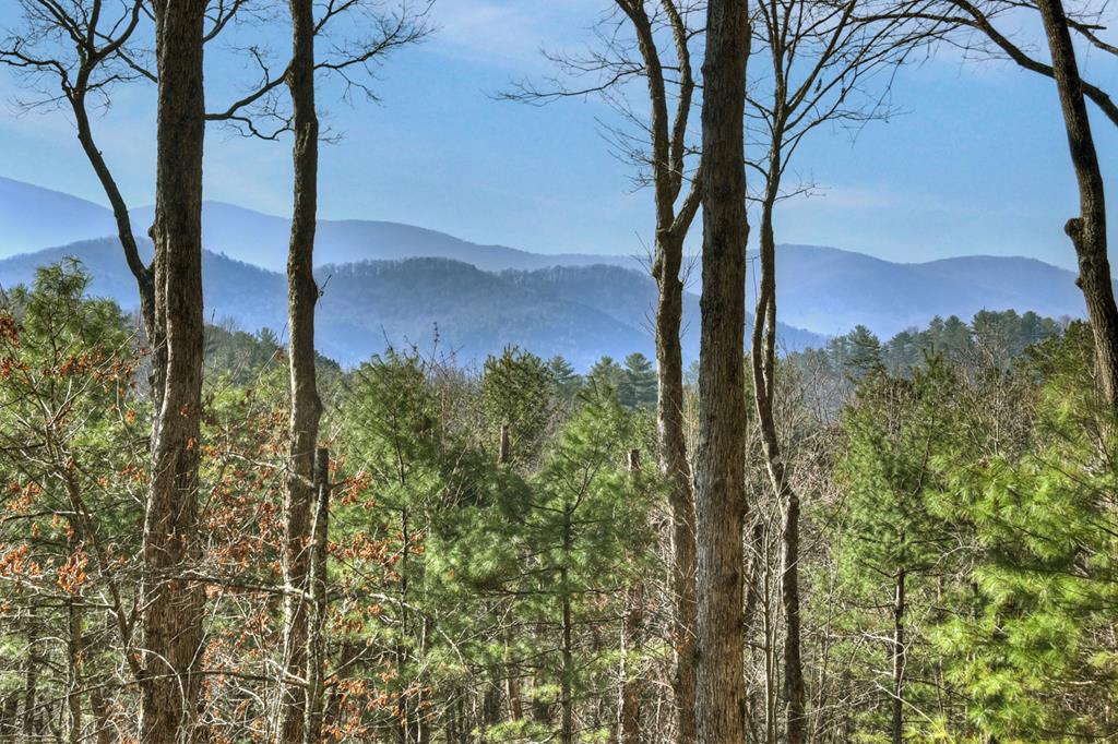 428846 Blue Ridge Residential