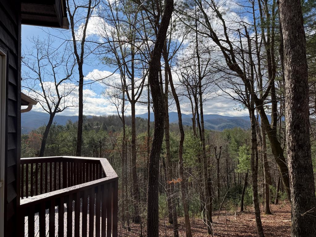 428846 Blue Ridge Residential