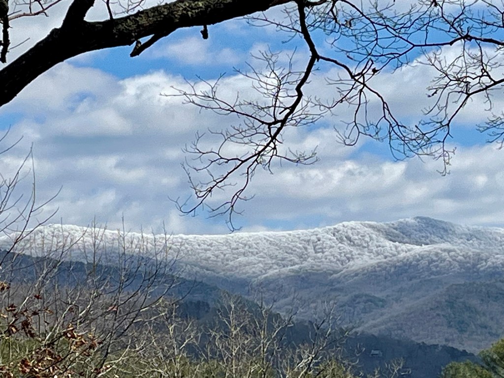 428846 Blue Ridge Residential