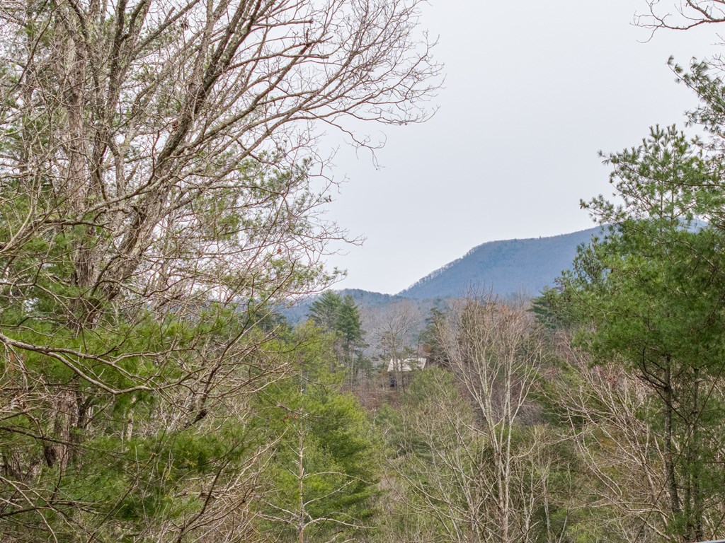 428859 Ellijay Residential