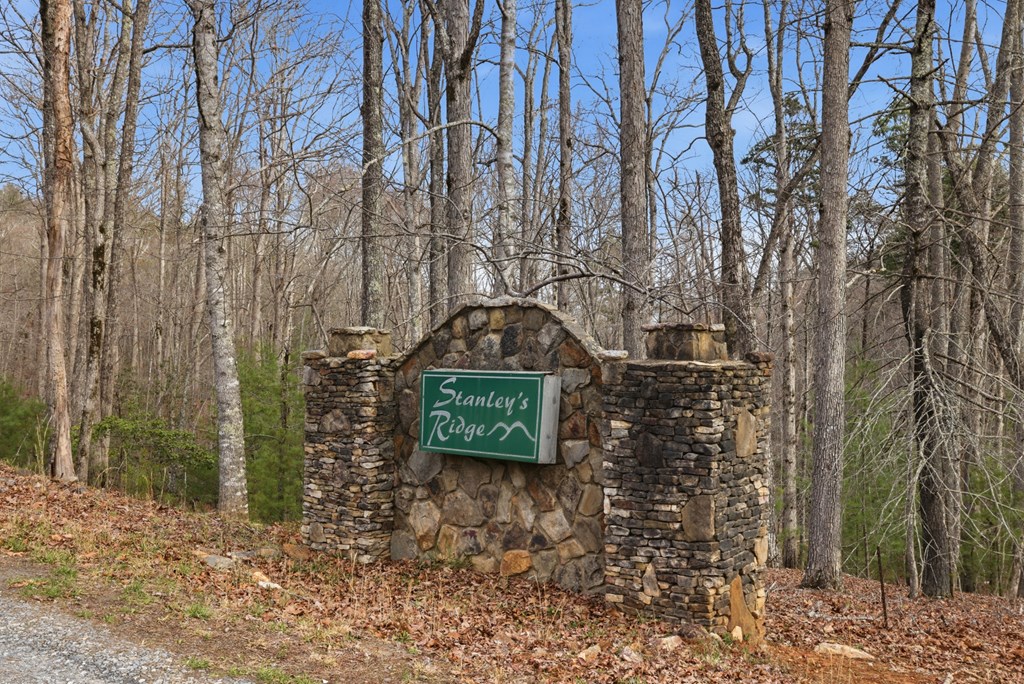 428868 Morganton Residential