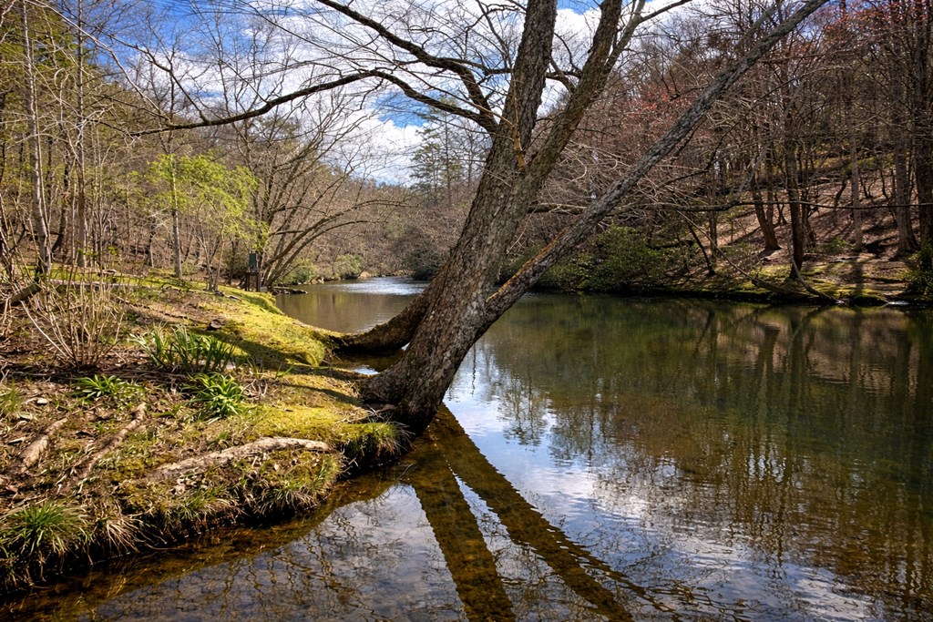 428886 Ellijay Residential