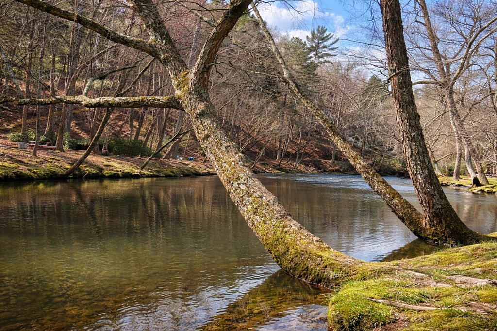 428886 Ellijay Residential