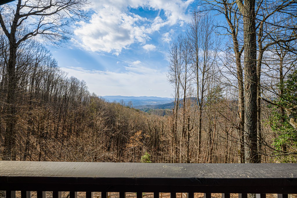428890 Ellijay Residential