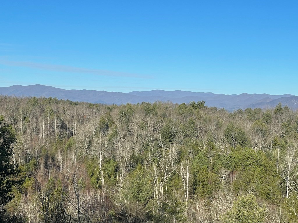 428895 Murphy Residential