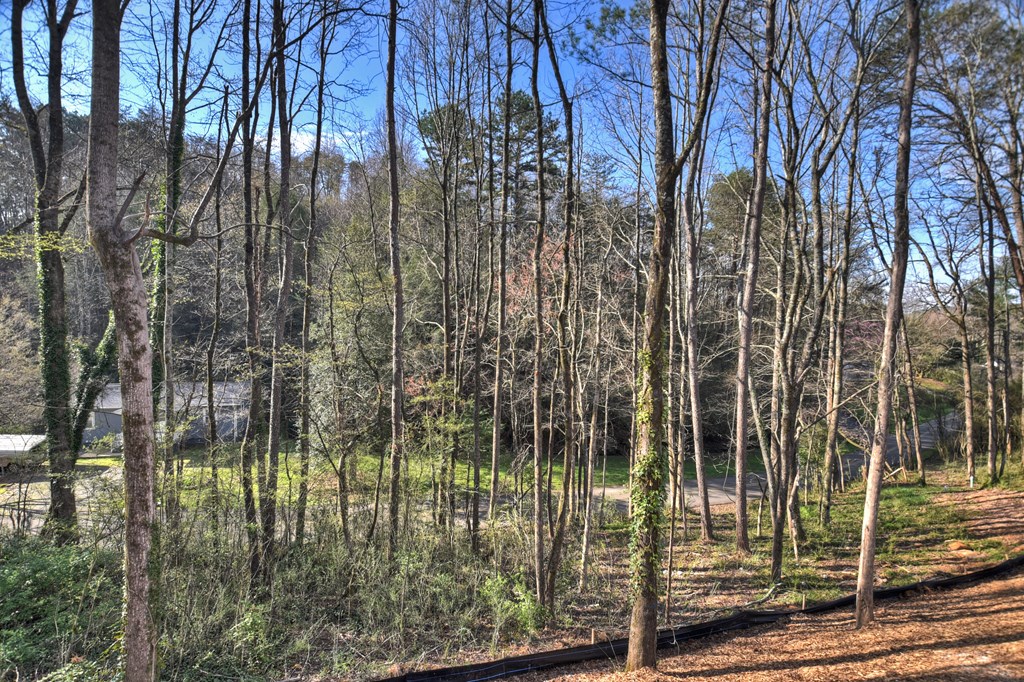 428900 East Ellijay Residential