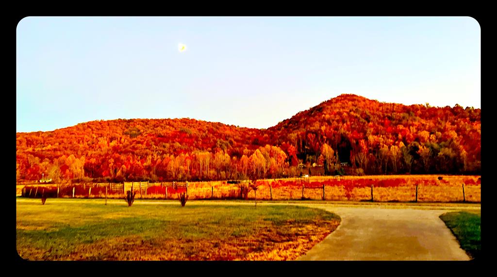 428903 Hayesville Residential