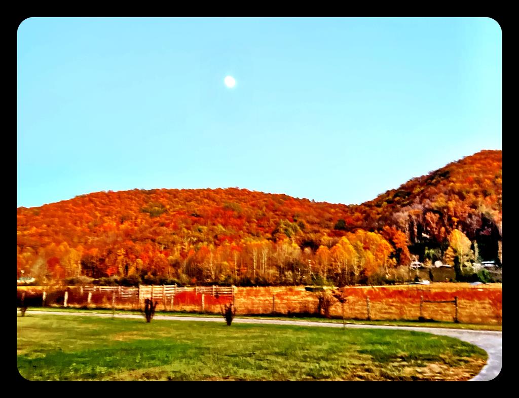 428903 Hayesville Residential