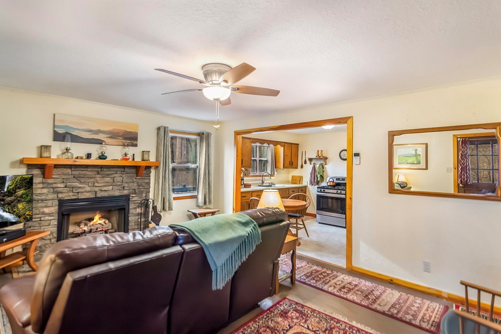 428908 Mineral Bluff Residential