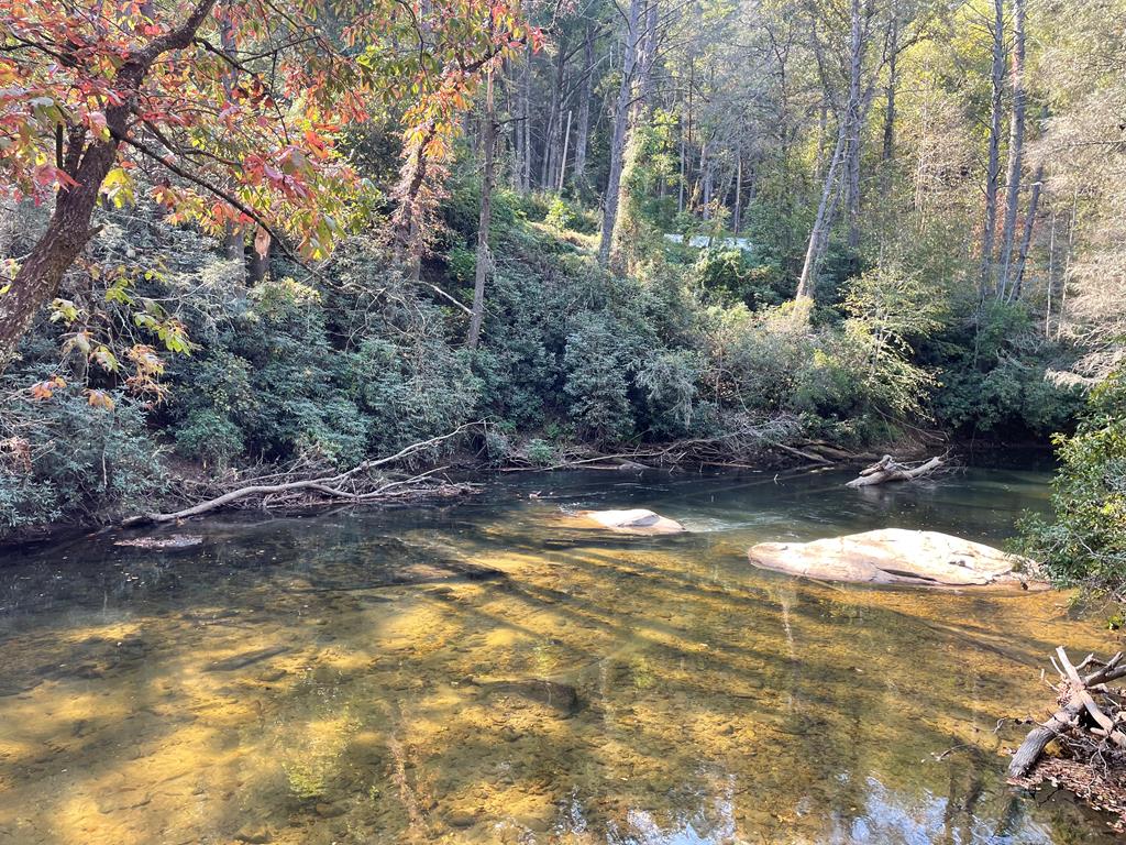 428911 Suches Residential