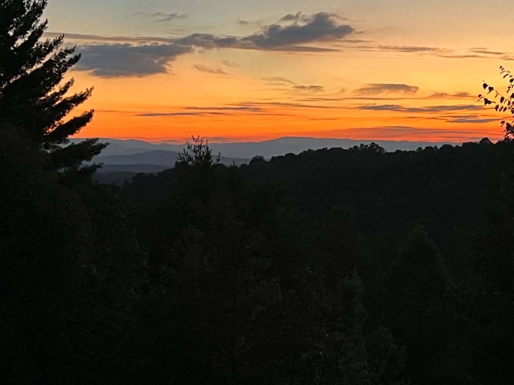 428913 Morganton Residential