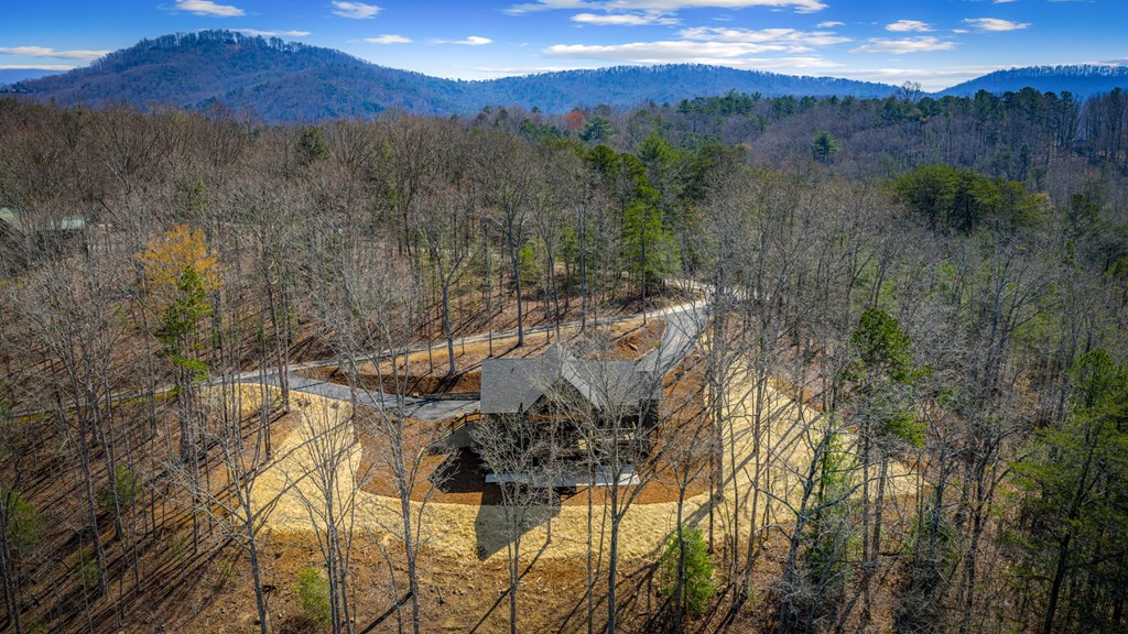 428931 Ellijay Residential