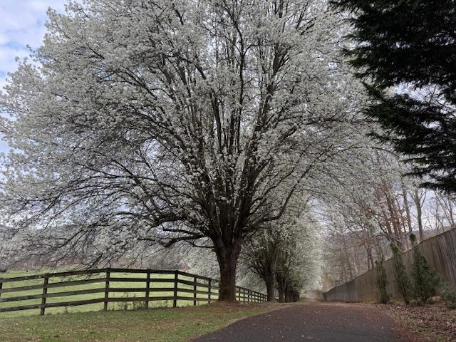 428939 Morganton Residential