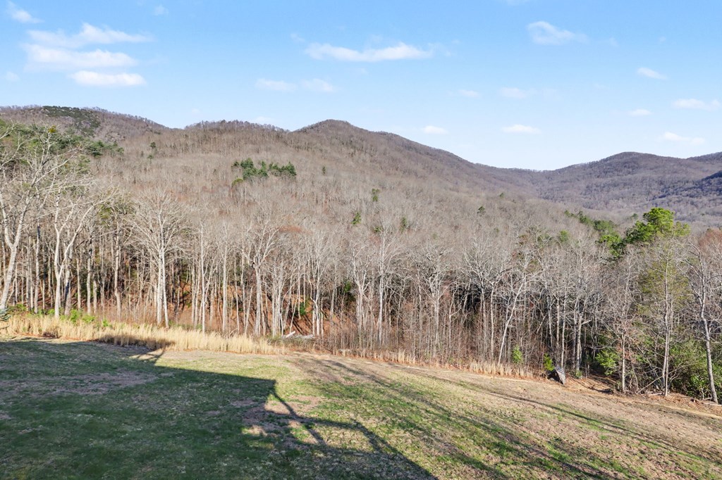 428940 Hiawassee Residential