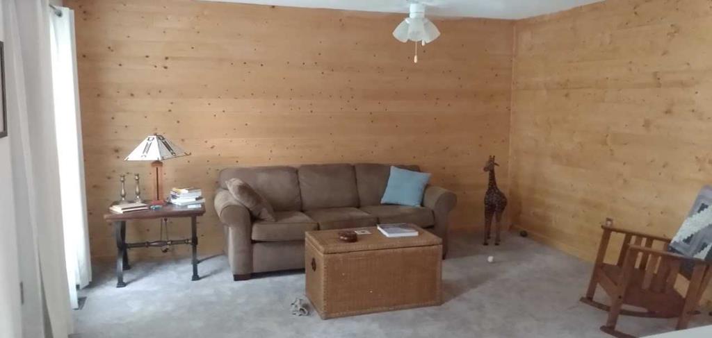 428947 Ellijay Residential