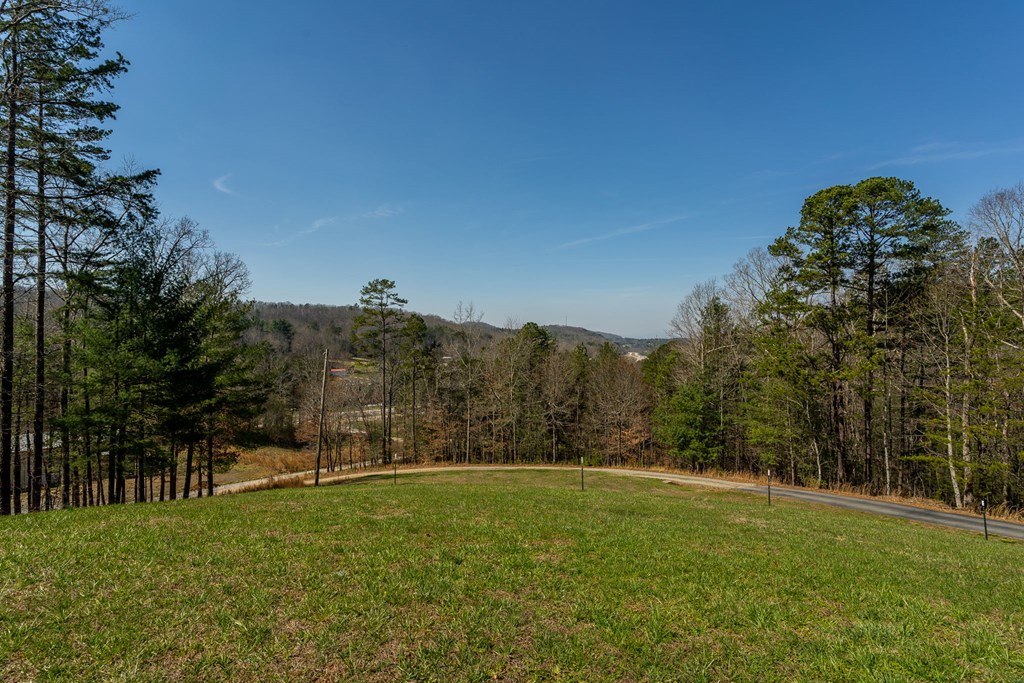 428951 Morganton Residential