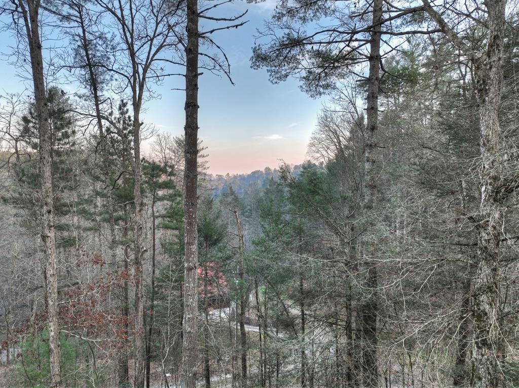 428952 Ellijay Residential