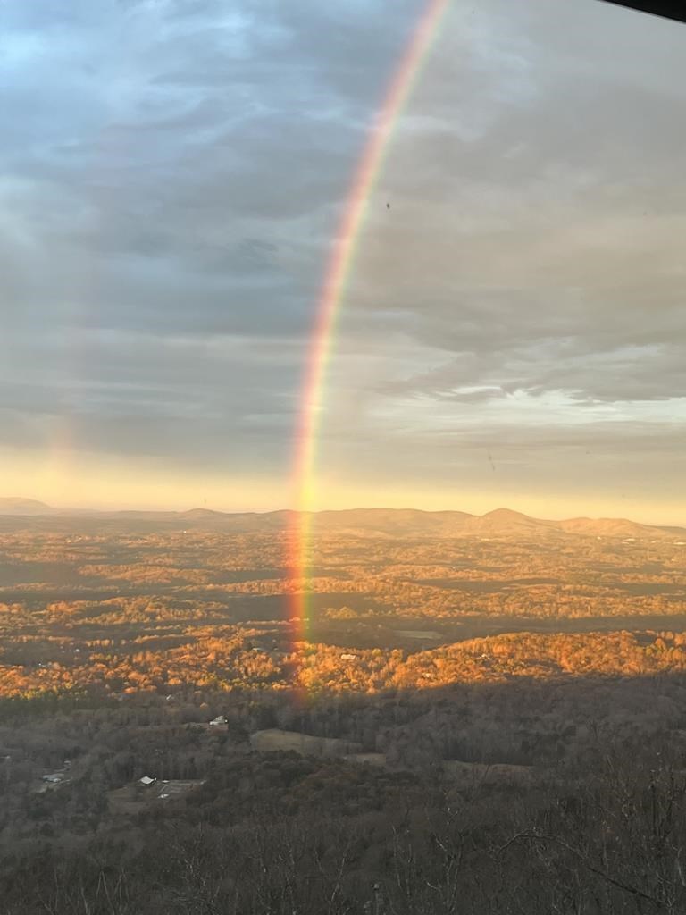 428955 Big Canoe Residential