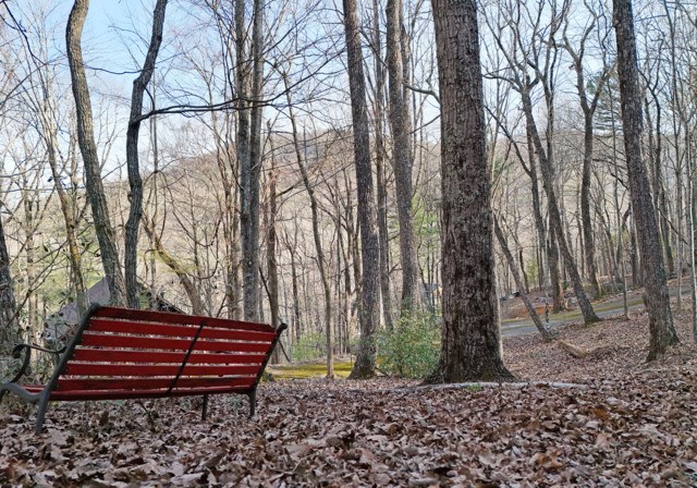 428961 Ellijay Residential