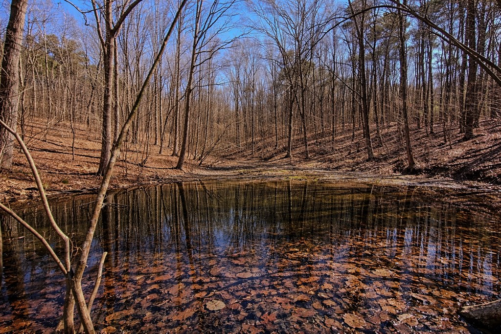 428986 Ellijay Residential