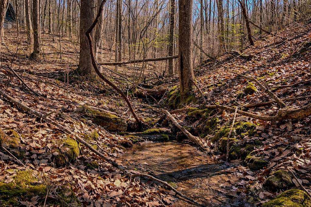 428986 Ellijay Residential