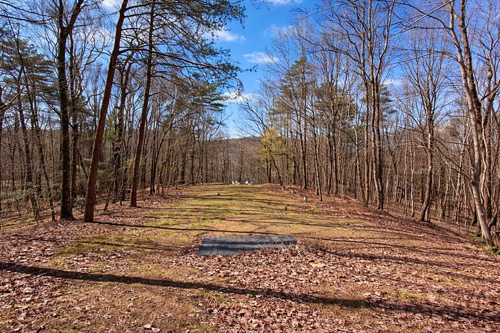 428986 Ellijay Residential