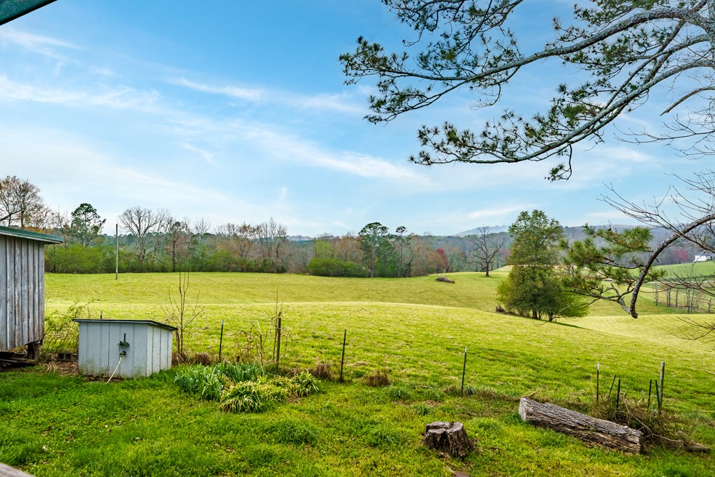 428991 Ellijay Residential