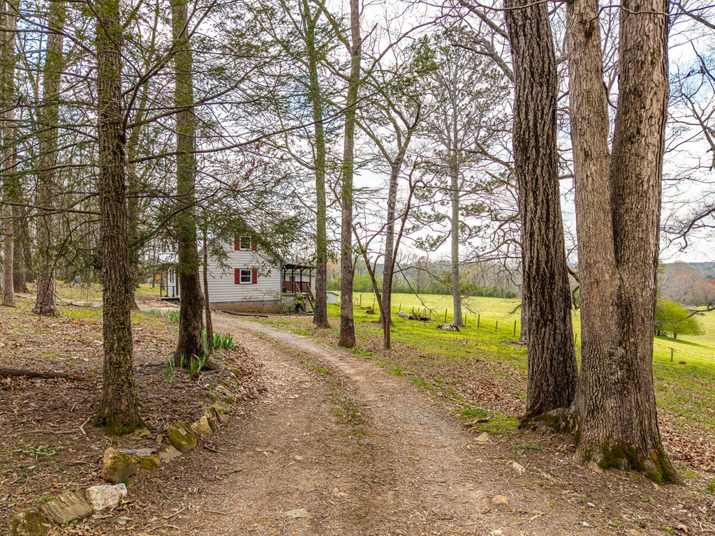 428991 Ellijay Residential