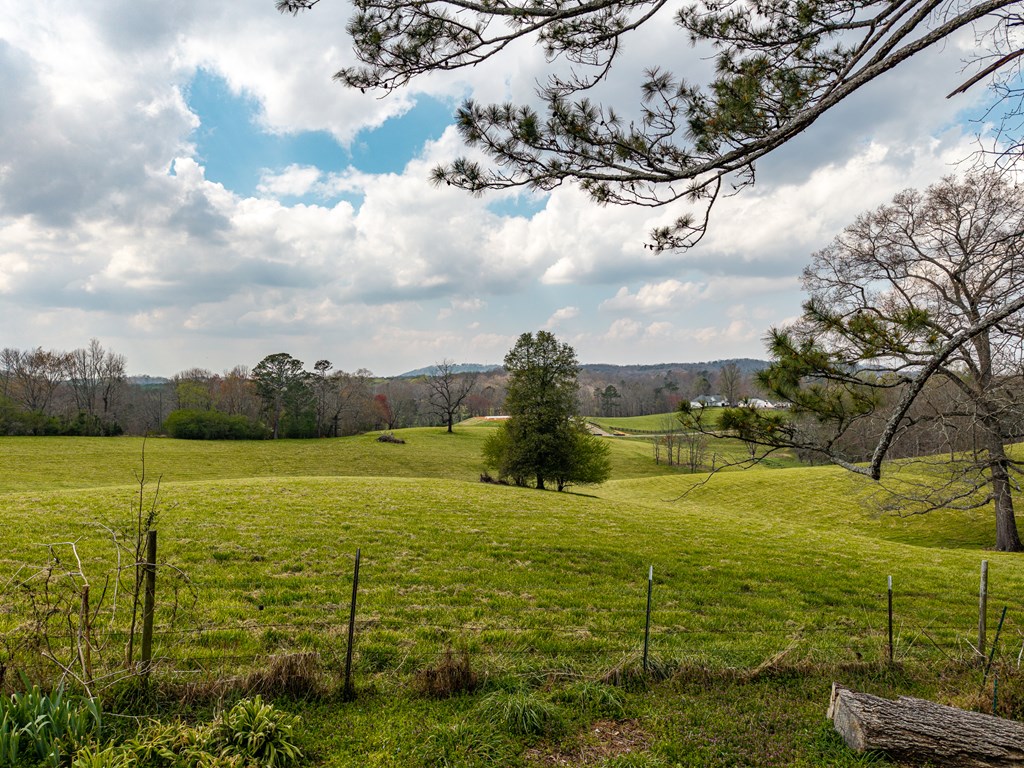 428991 Ellijay Residential