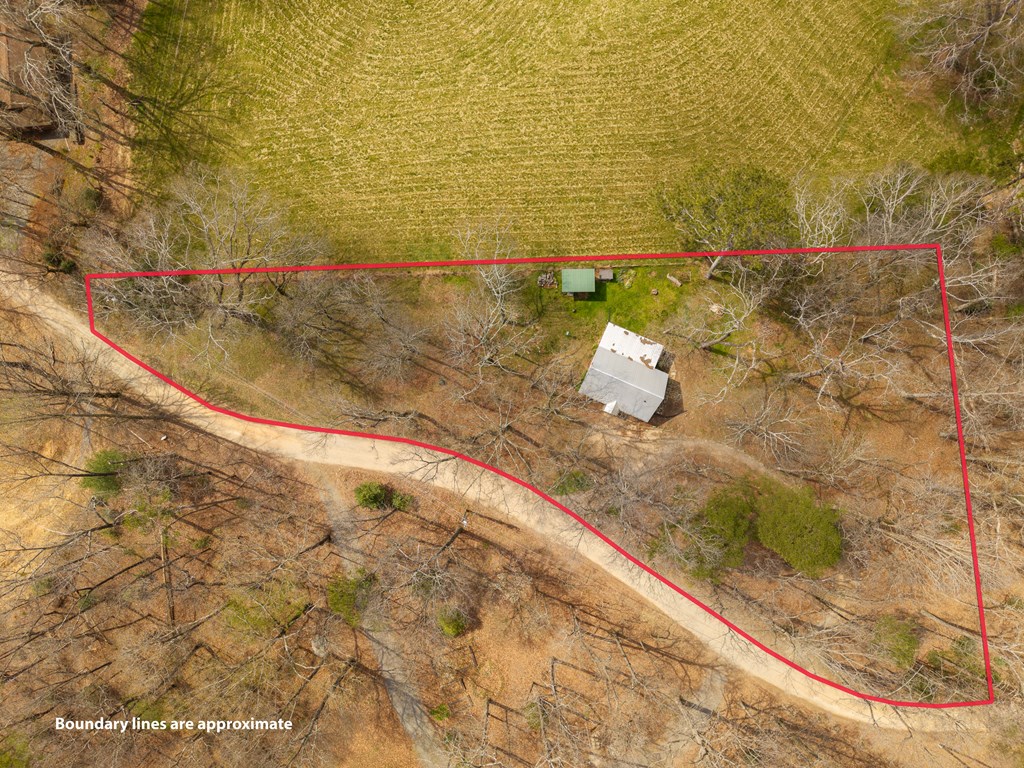 428991 Ellijay Residential