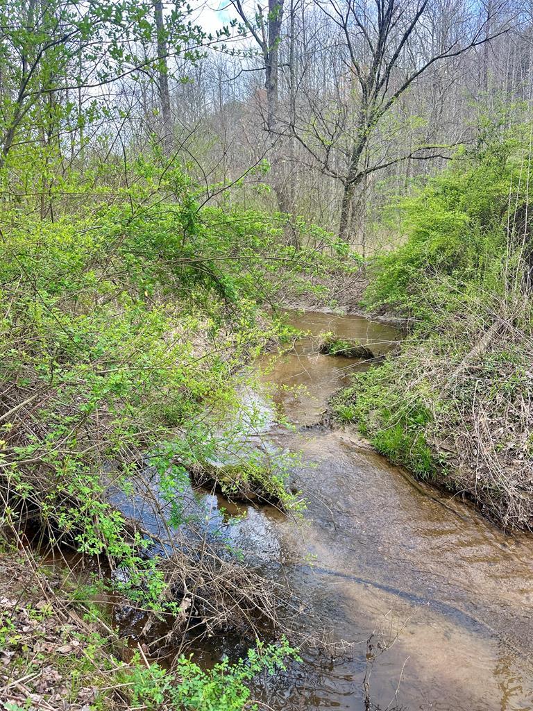 429000 Blue Ridge
 