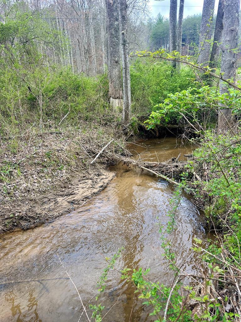 429000 Blue Ridge
 Land
