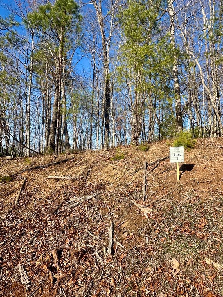 429000 Blue Ridge
 Land