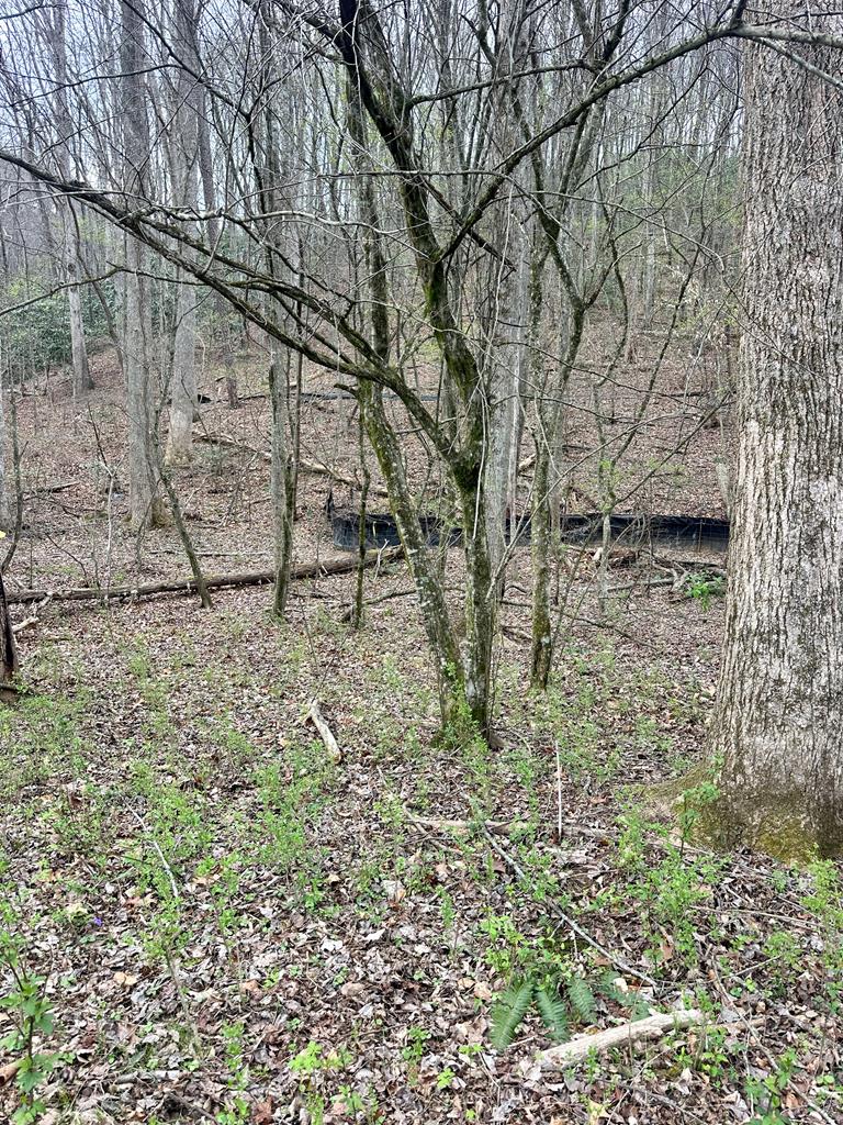 429000 Blue Ridge
 Land