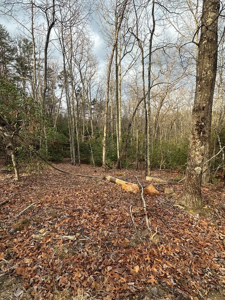 429000 Blue Ridge
 Land