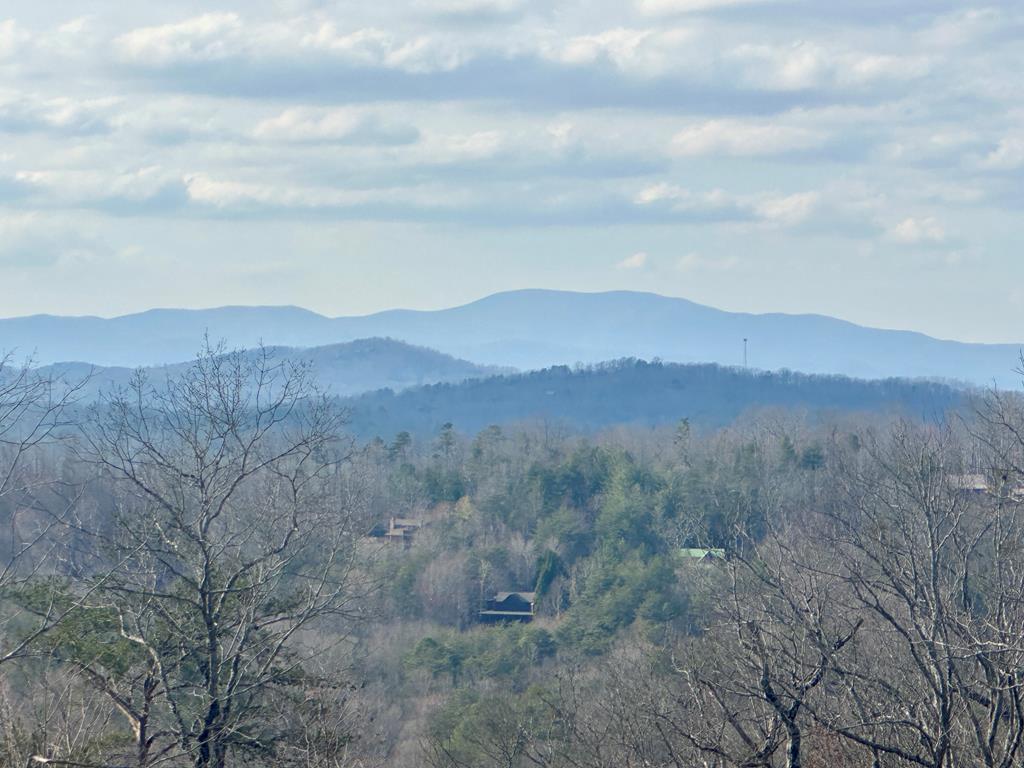 429002 Blue Ridge
 