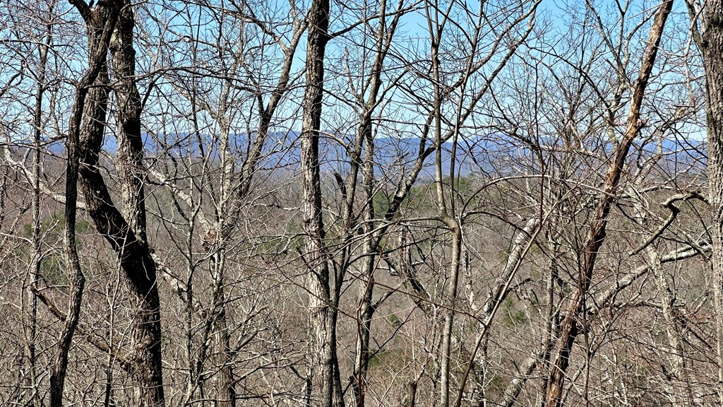 429002 Blue Ridge
 Land