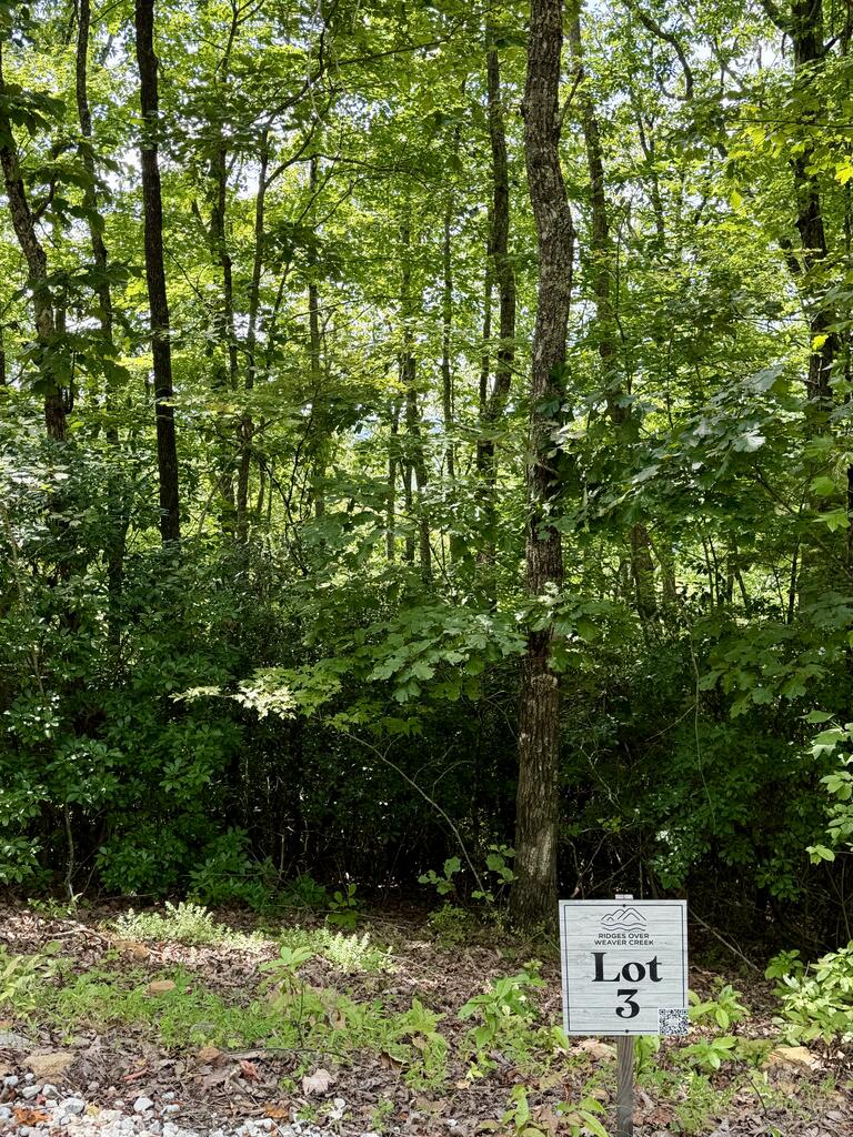429002 Blue Ridge
 Land