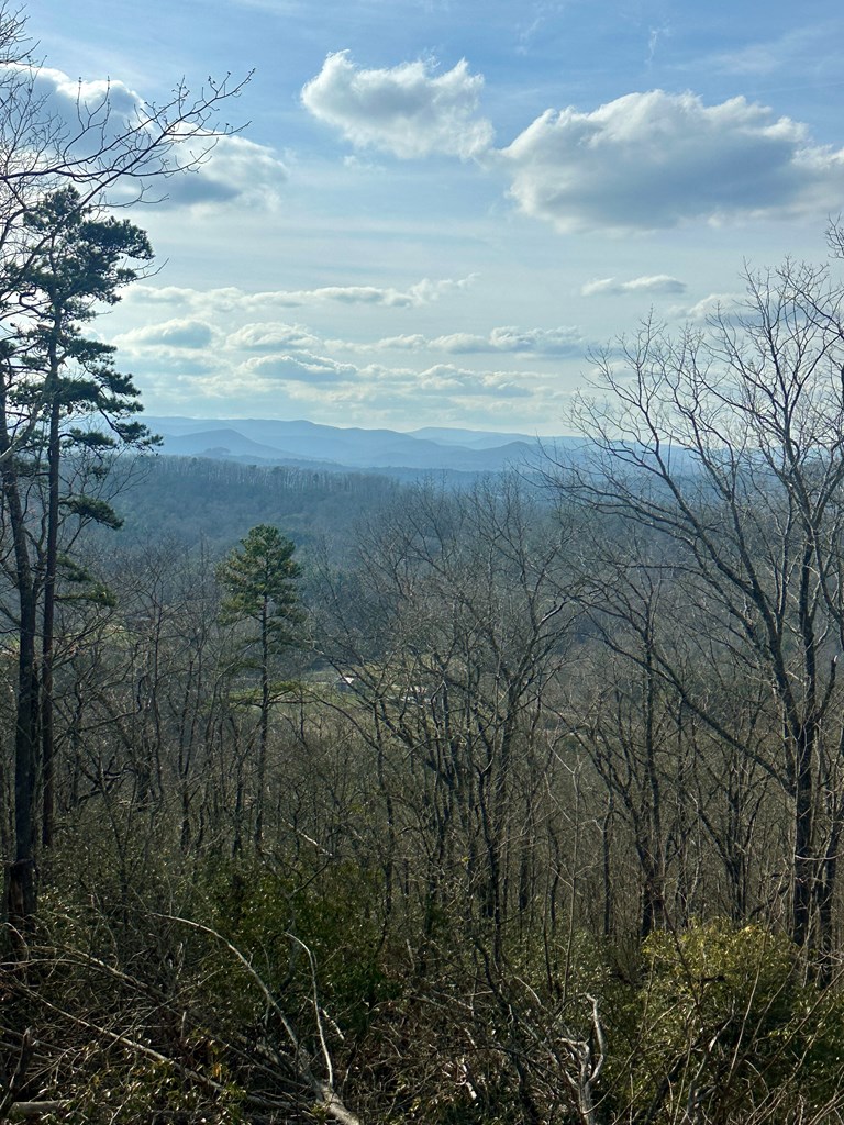 429005 Blue Ridge
 Land