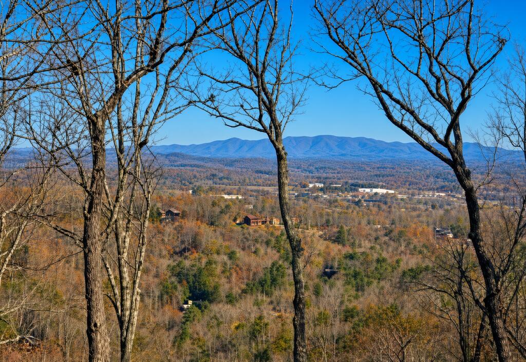 429005 Blue Ridge
 Land