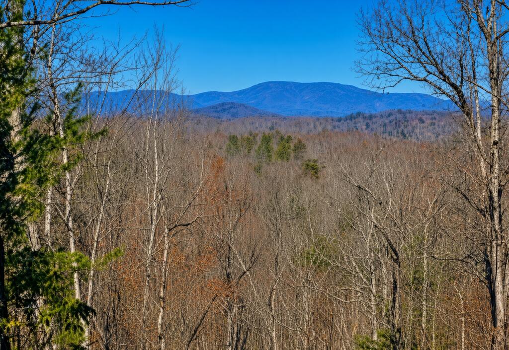 429005 Blue Ridge
 Land