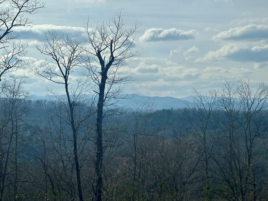 429008 Blue Ridge
 Land