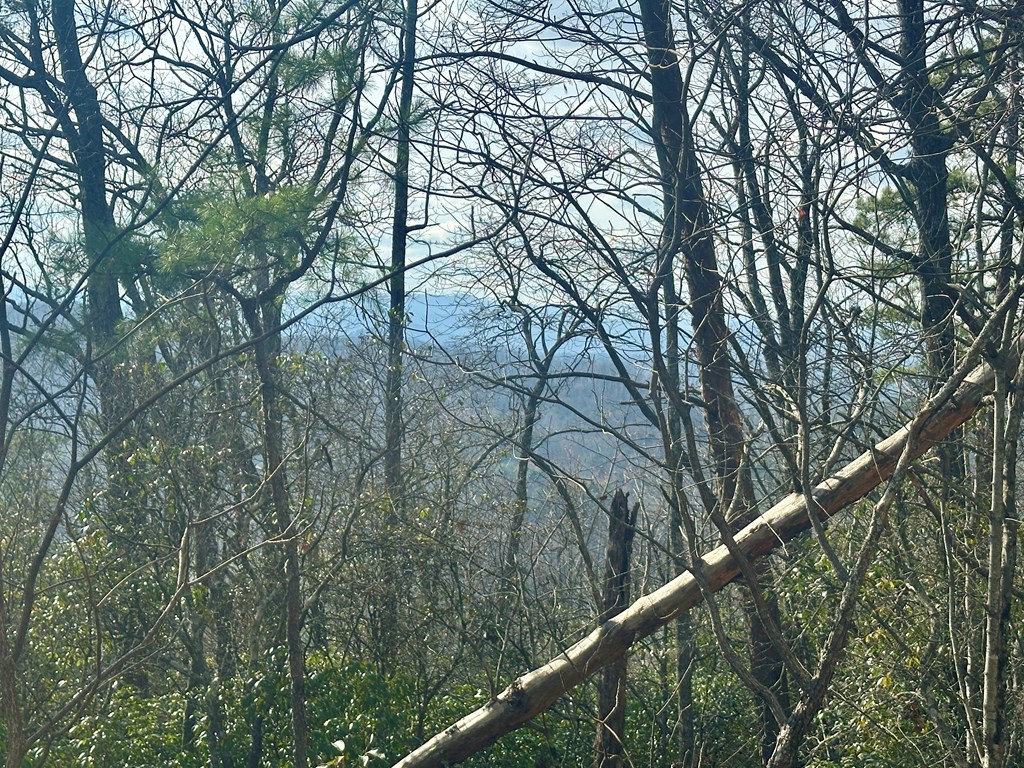 429008 Blue Ridge
 Land