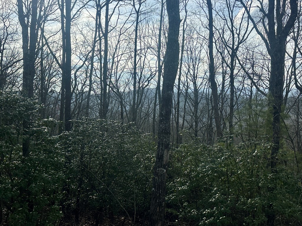 429008 Blue Ridge
 Land