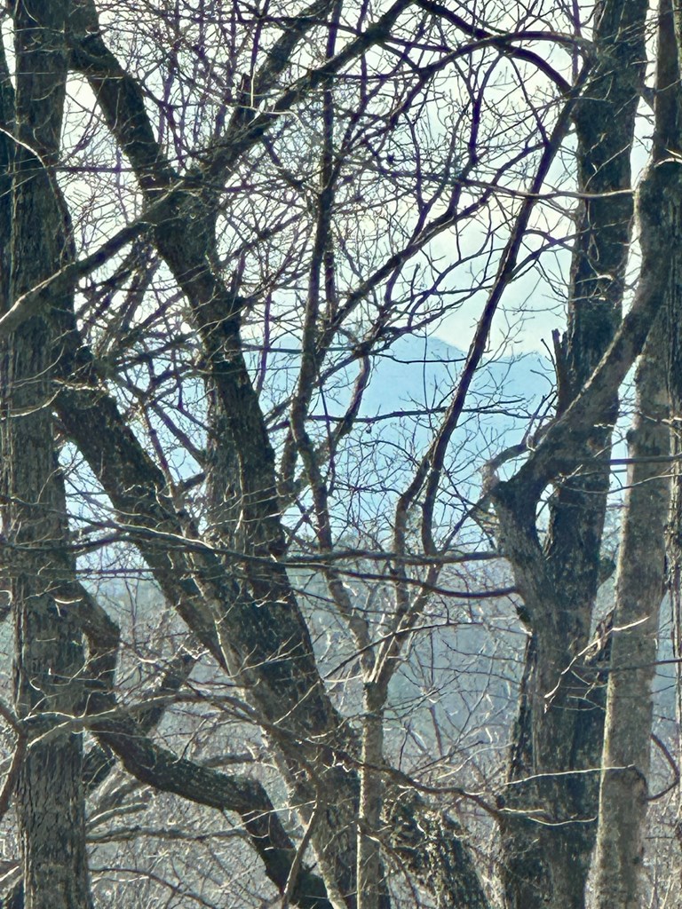 429008 Blue Ridge
 Land