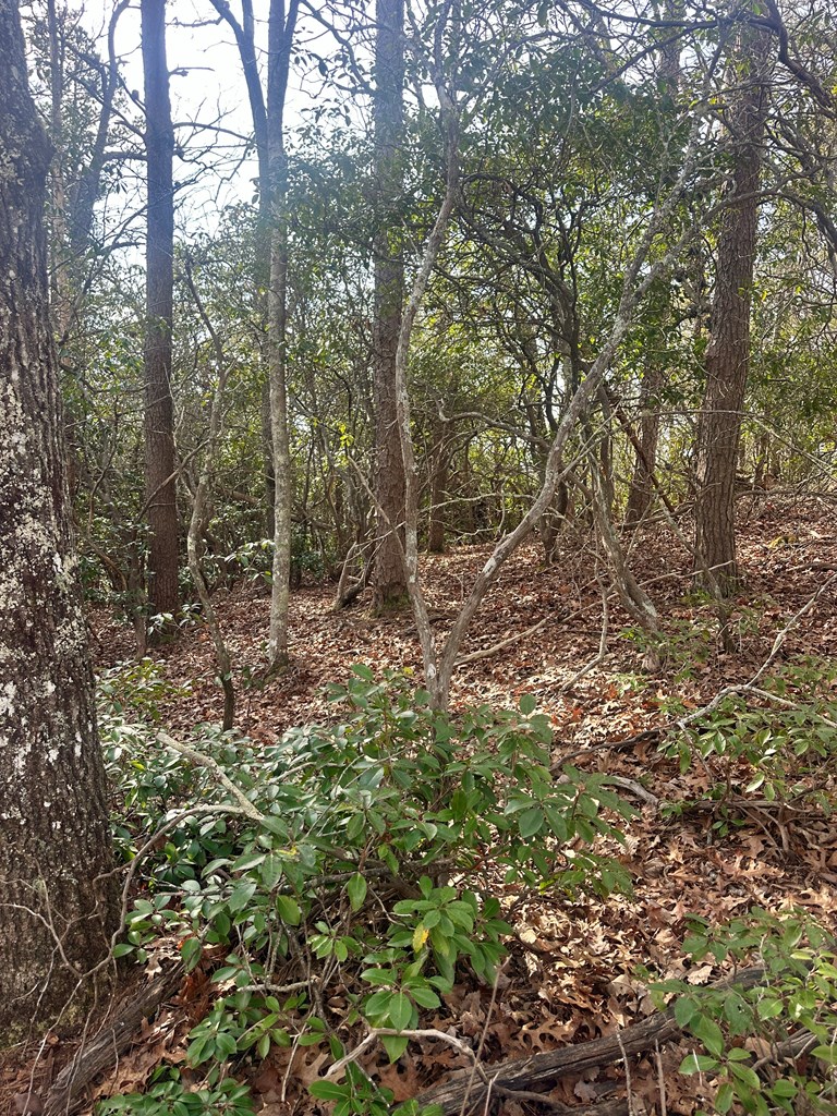 429008 Blue Ridge
 Land
