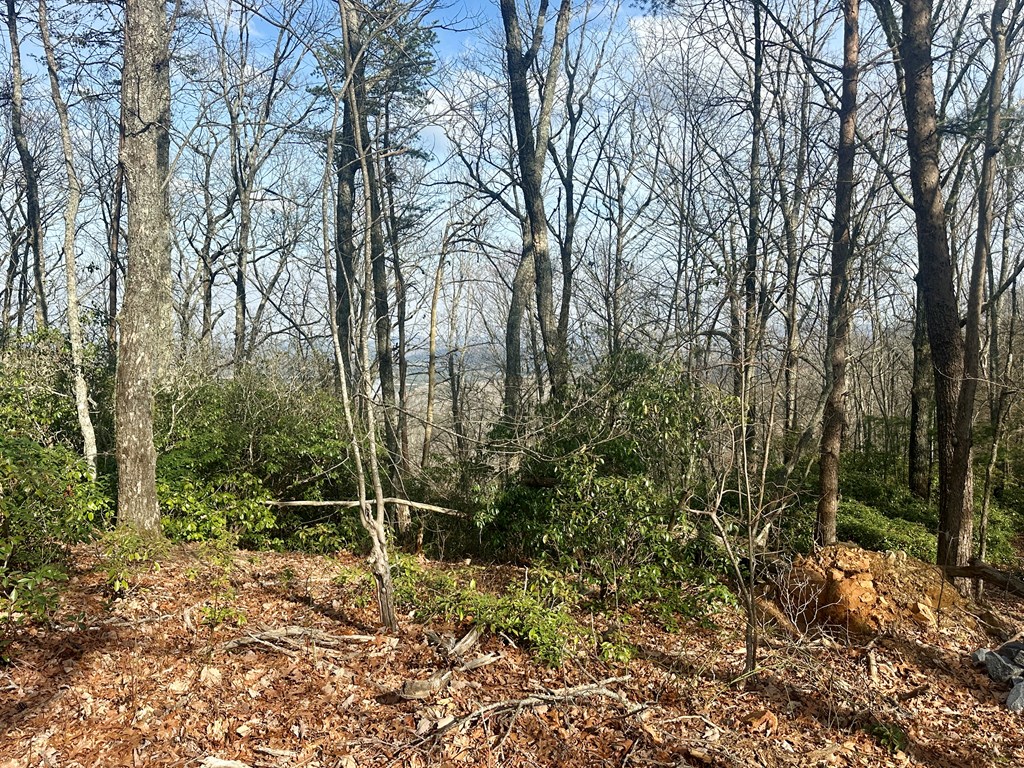 429008 Blue Ridge
 Land