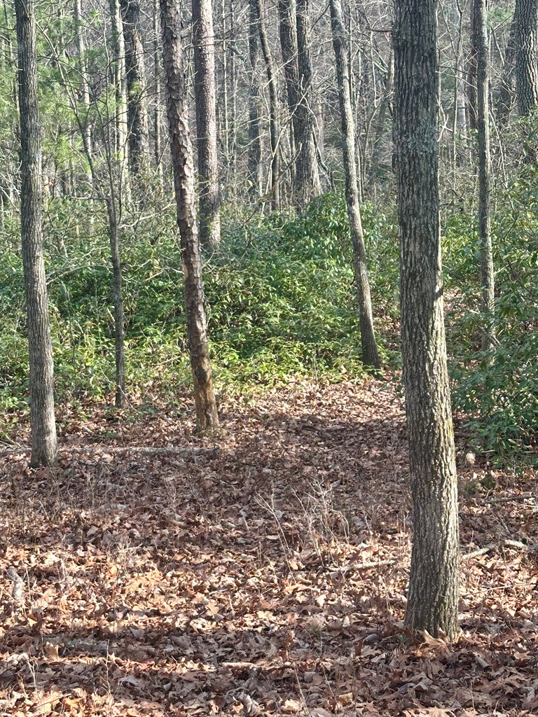 429008 Blue Ridge
 Land
